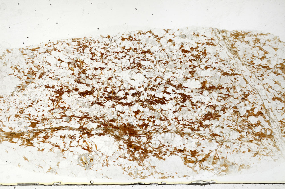 Plane Polarized, S80861