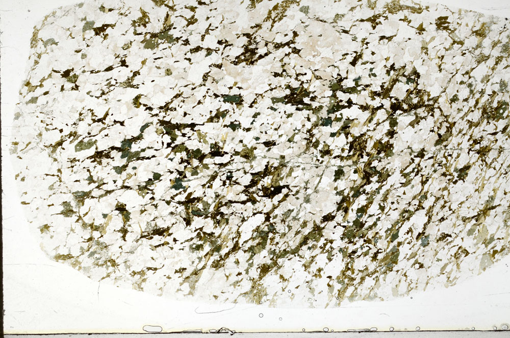 Plane Polarized, S80877