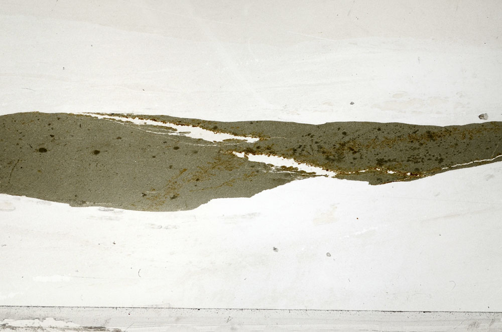 Plane Polarized, S80959