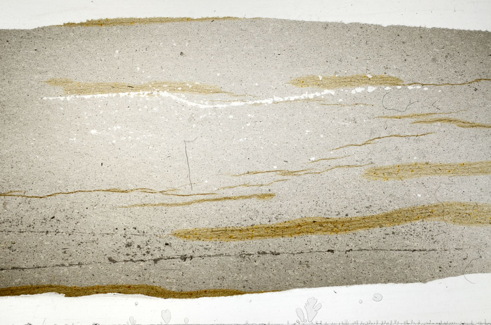 Plane Polarized, S80960