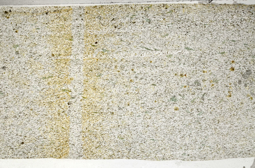 Plane Polarized, S80992