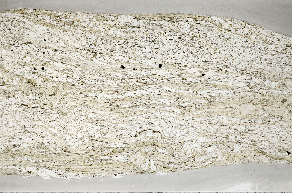 Plane Polarized, S80993