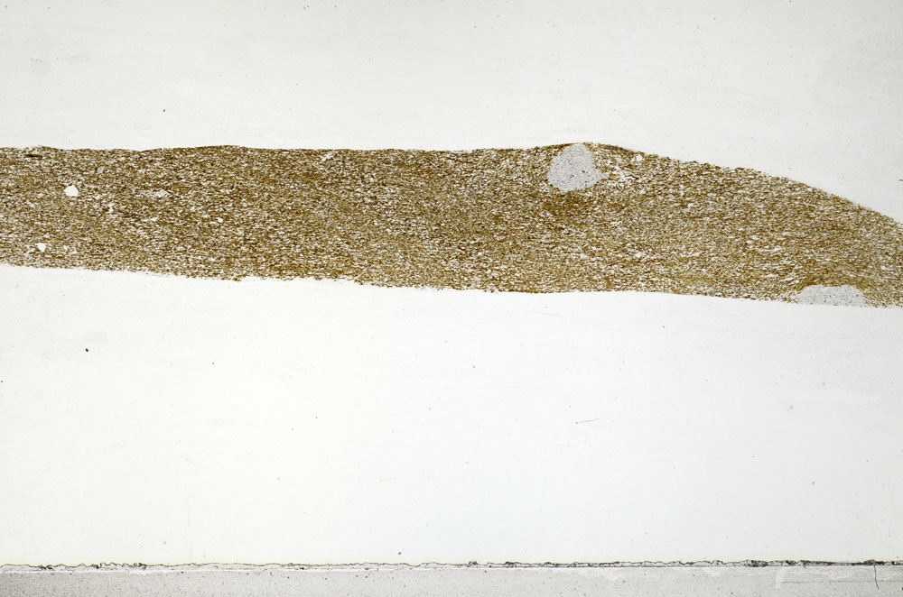 Plane Polarized, S81001