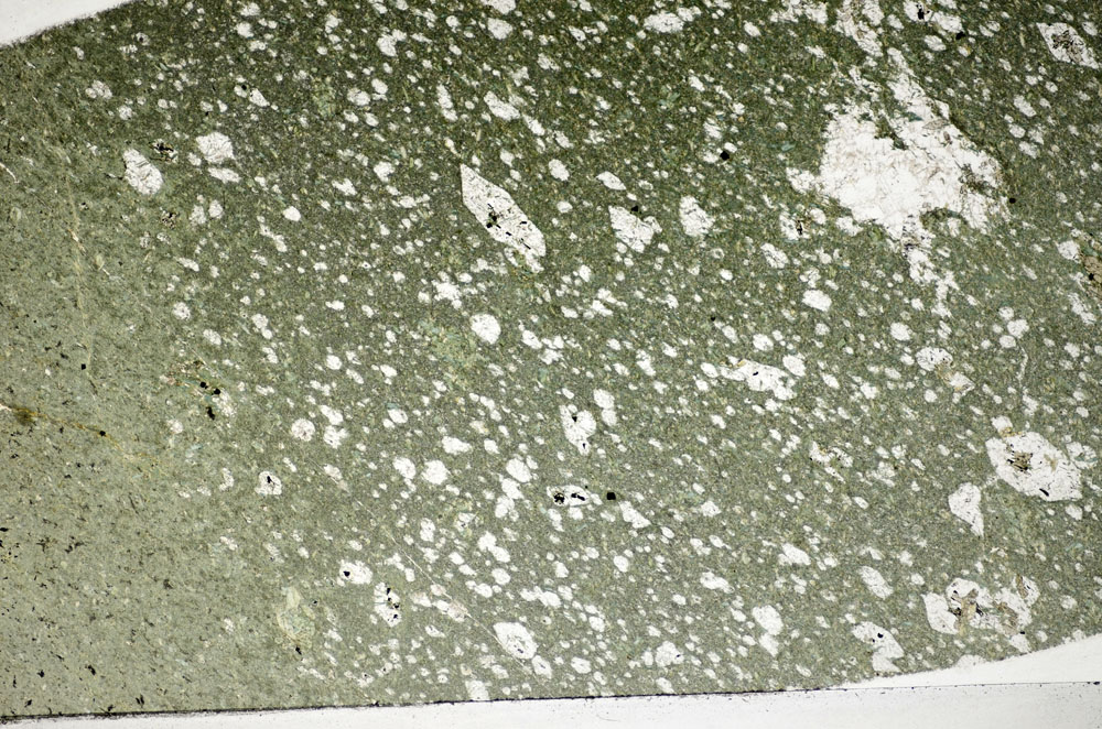 Plane Polarized, S81066