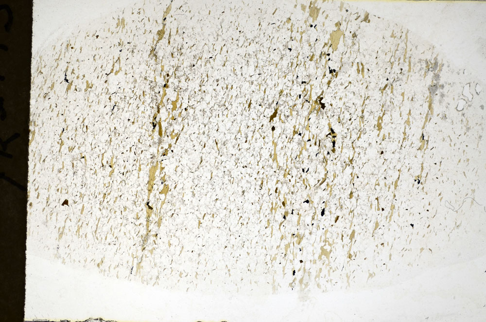 Plane Polarized, S81107