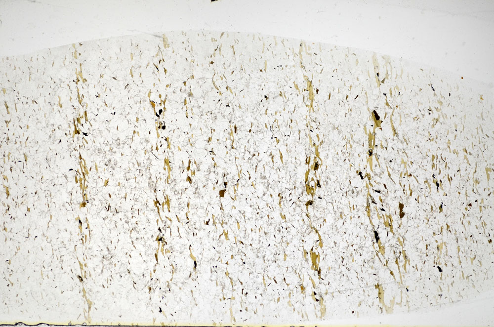 Plane Polarized, S81109