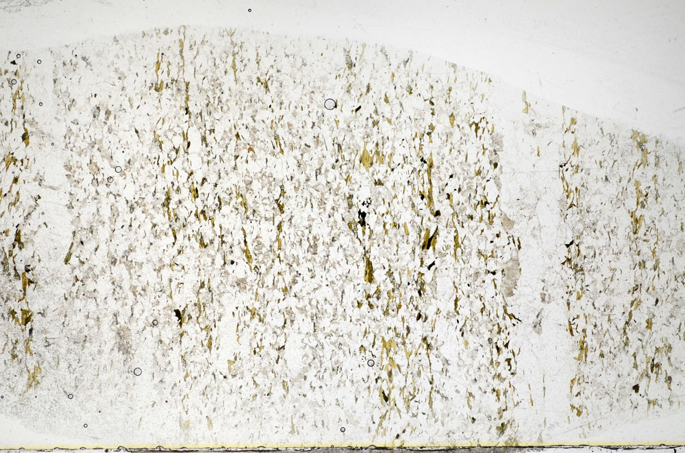 Plane Polarized, S81110