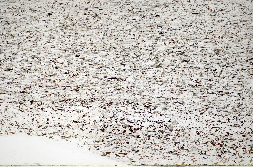 Plane Polarized, S81116