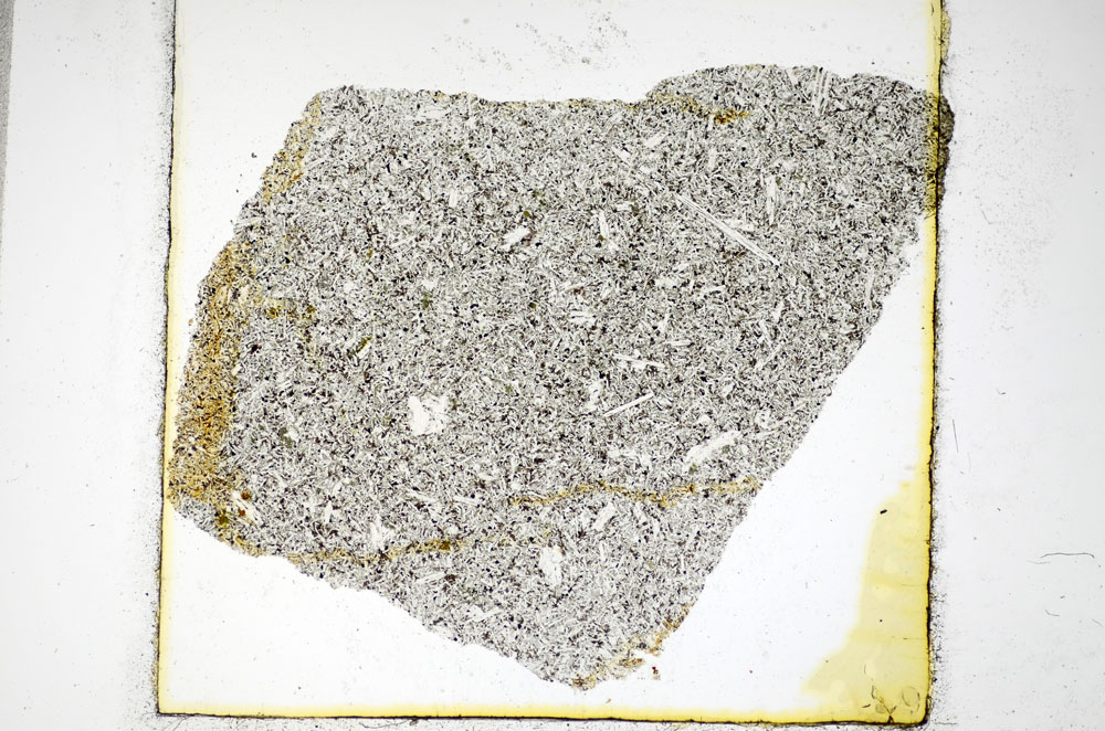 Plane Polarized, S81166