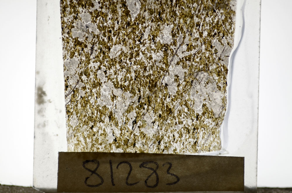 Plane Polarized, S81283