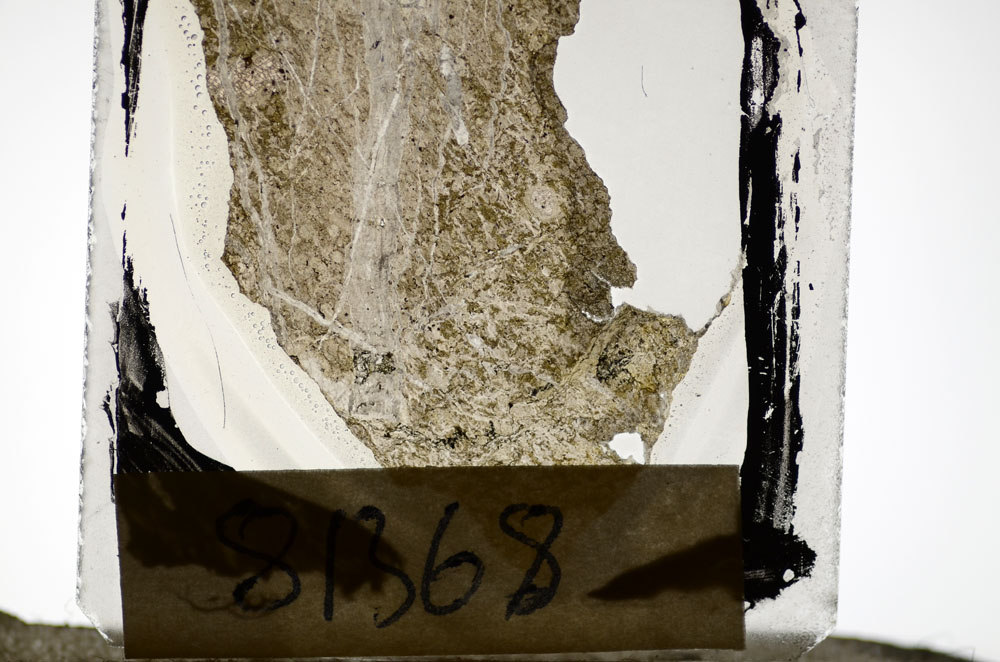 Plane Polarized, S81368