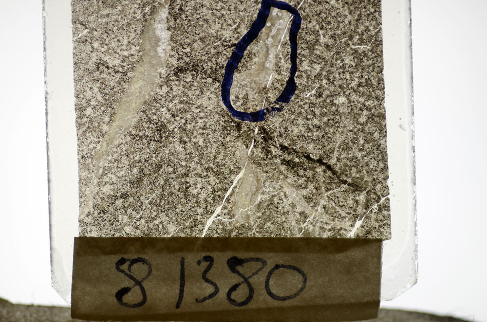 Plane Polarized, S81380