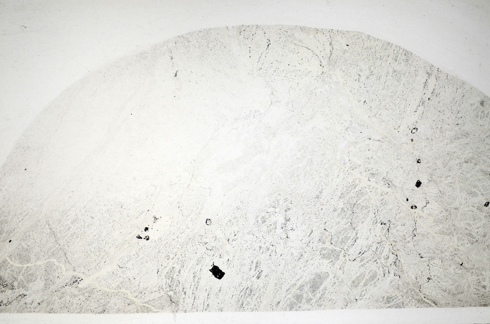 Plane Polarized, S81447