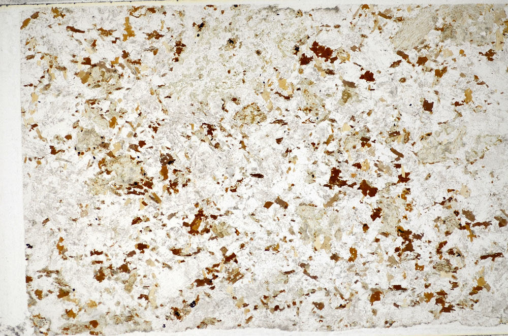 Plane Polarized, S81450