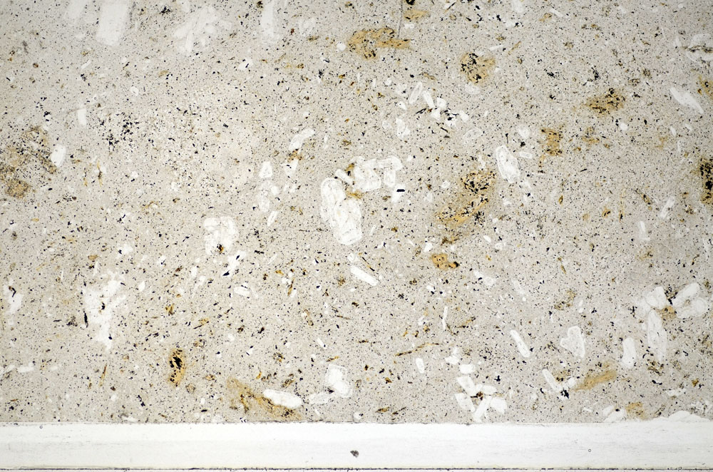 Plane Polarized, S81454