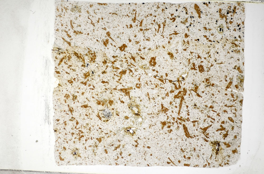 Plane Polarized, S81458