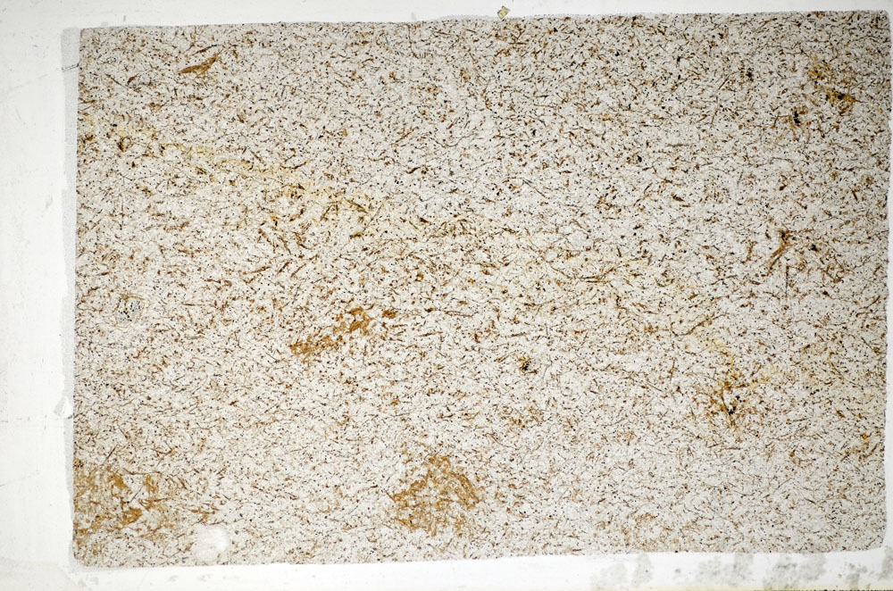 Plane Polarized, S81462