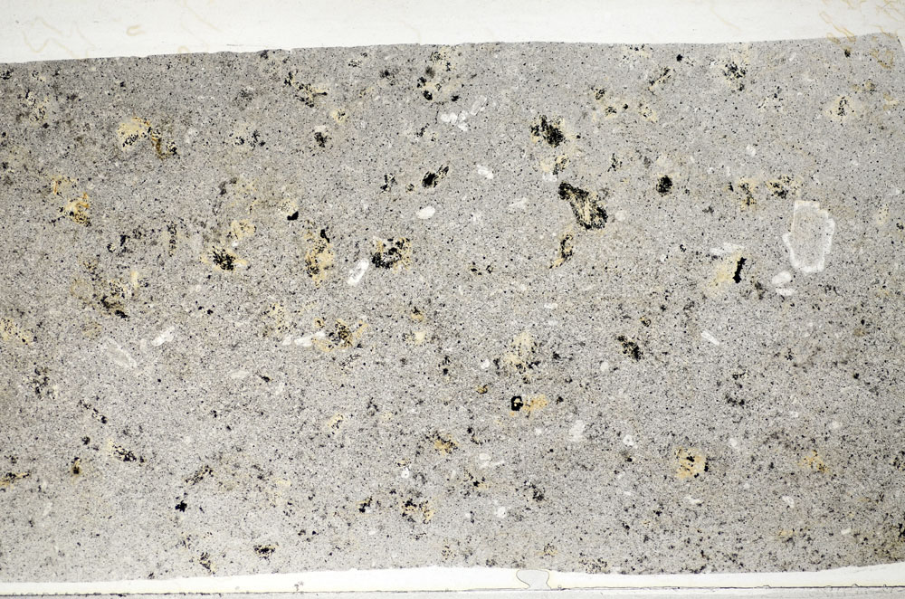 Plane Polarized, S81466