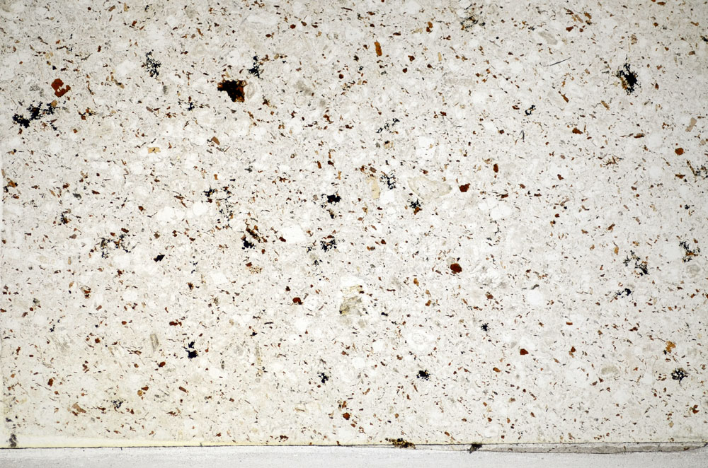 Plane Polarized, S81469