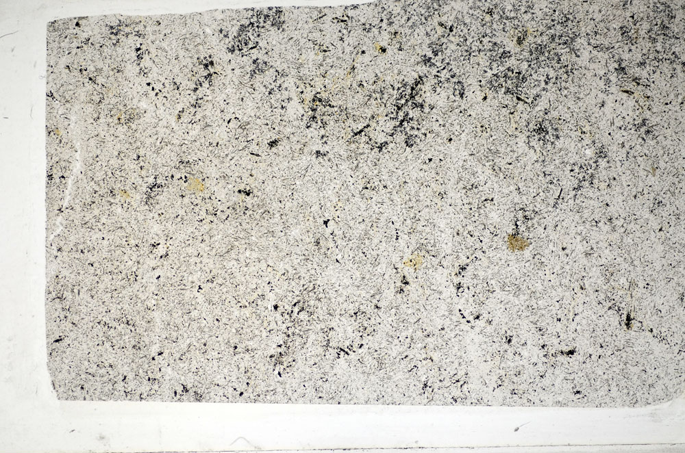 Plane Polarized, S81471