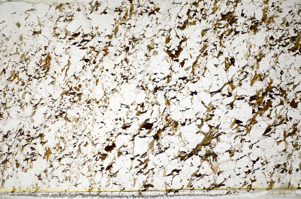 Plane Polarized, S81493