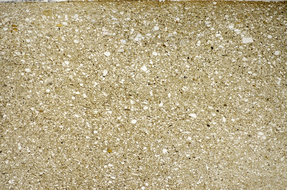 Plane Polarized, S81580