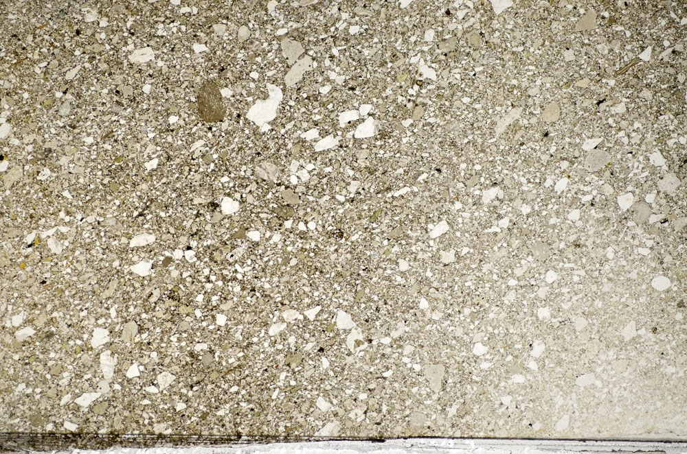 Plane Polarized, S81591