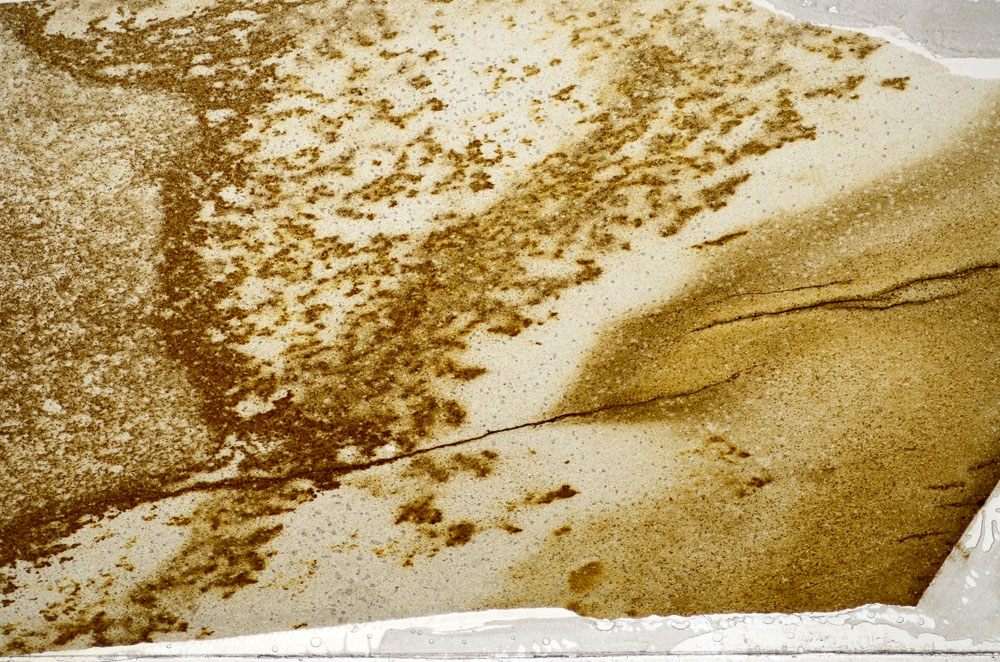 Plane Polarized, S81593