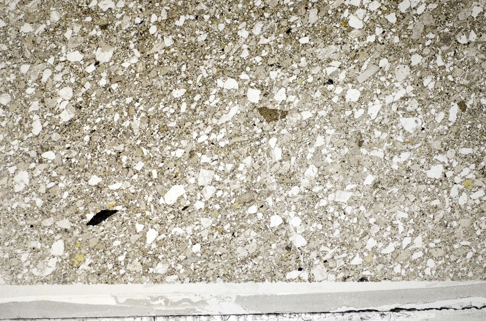 Plane Polarized, S81594