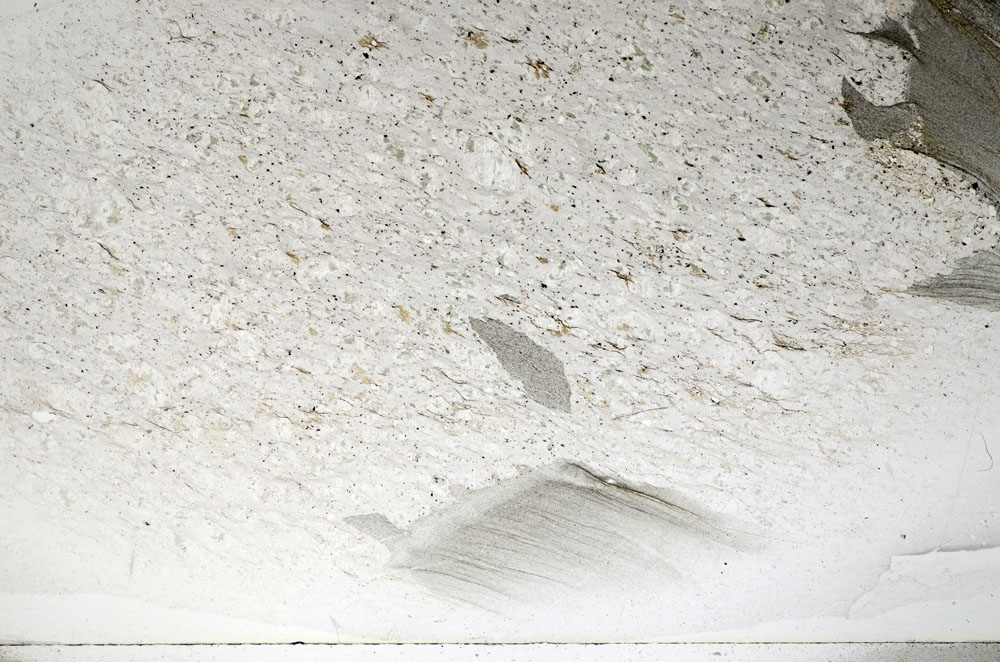 Plane Polarized, S81679/A