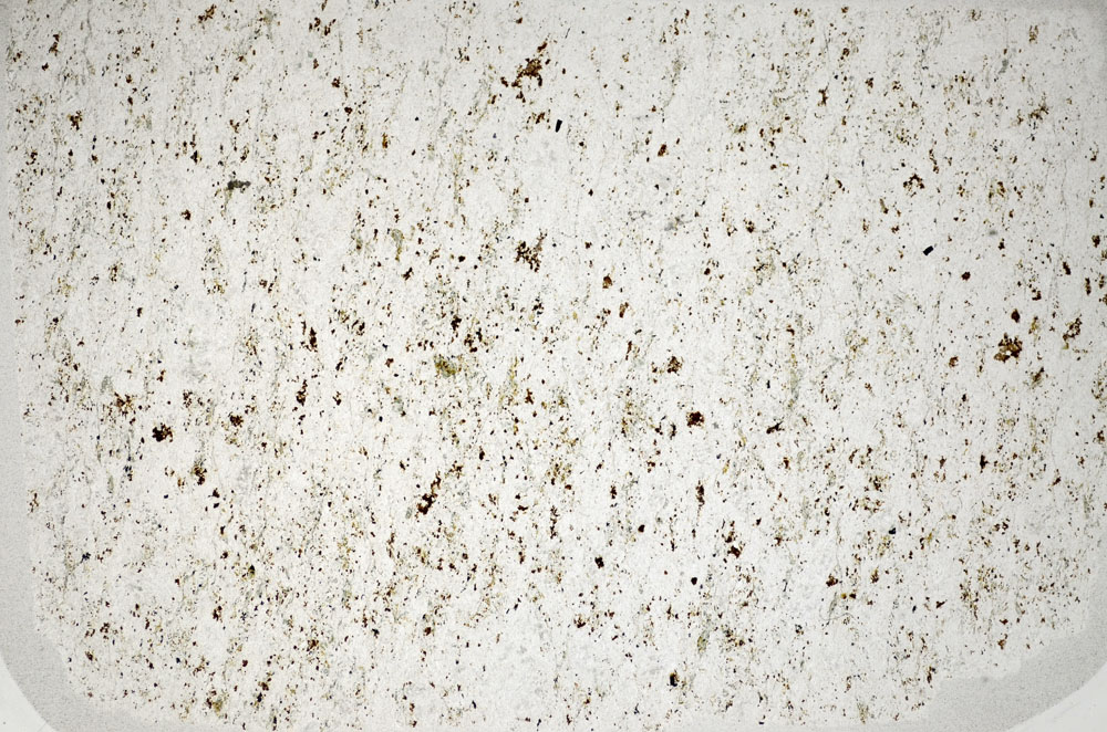 Plane Polarized, S81681