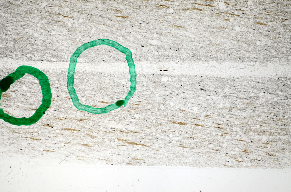 Plane Polarized, S81733