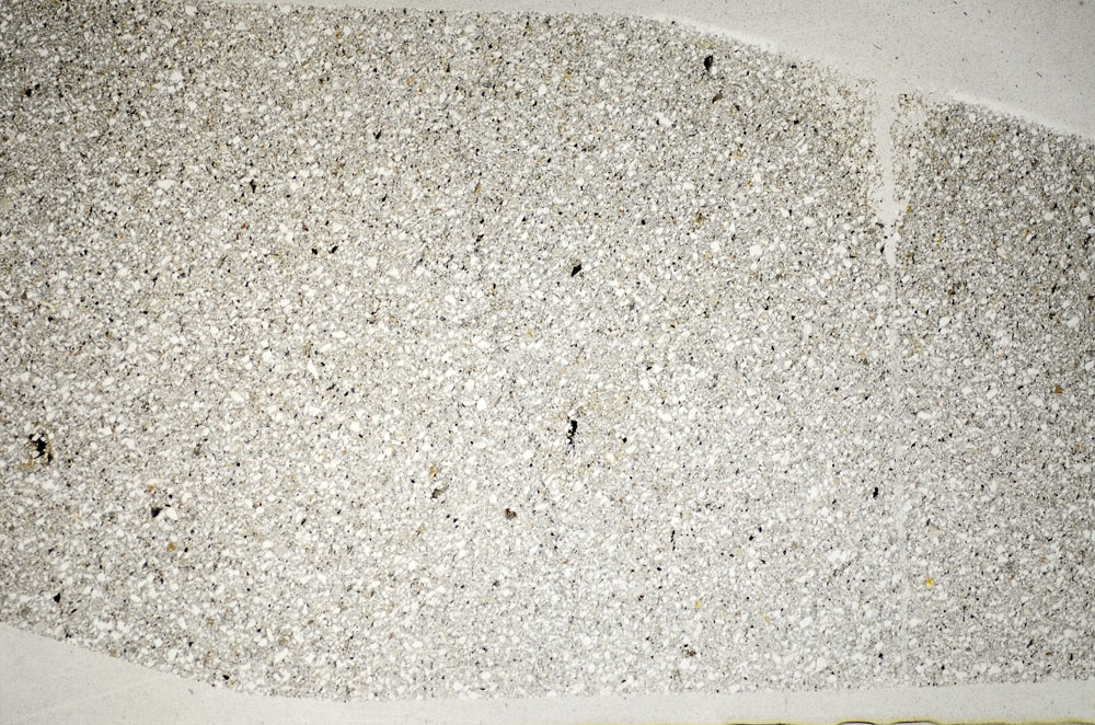 Plane Polarized, S81736