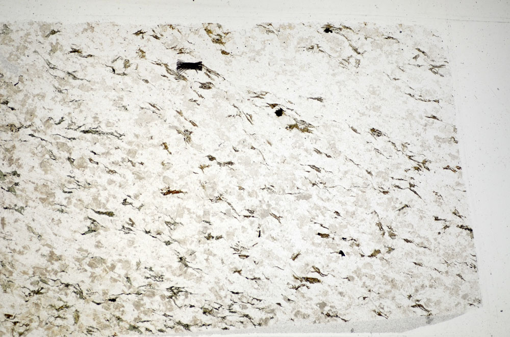 Plane Polarized, S81738