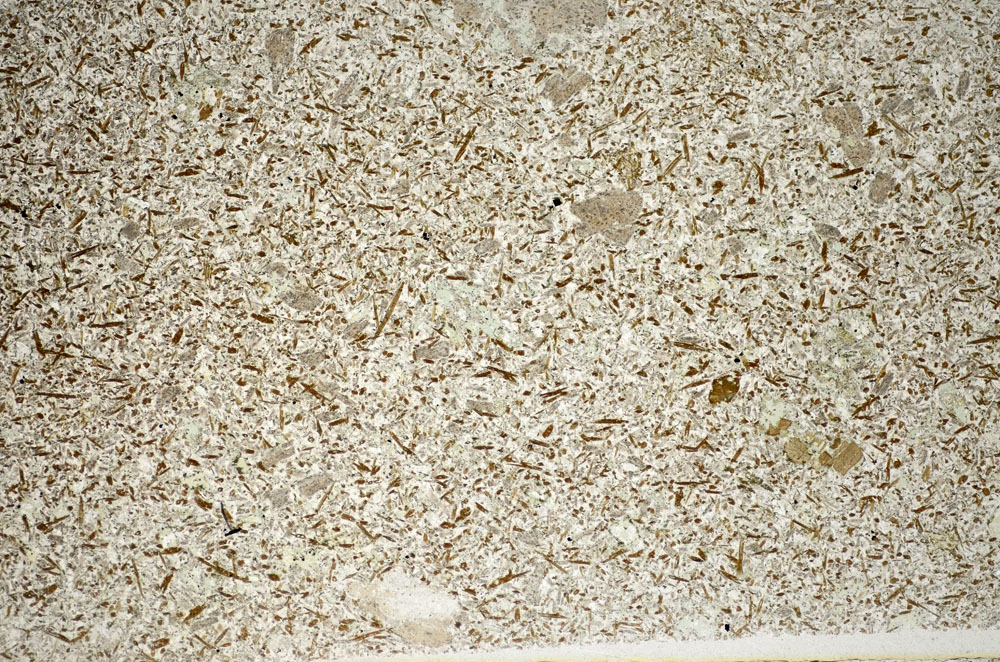 Plane Polarized, S81745