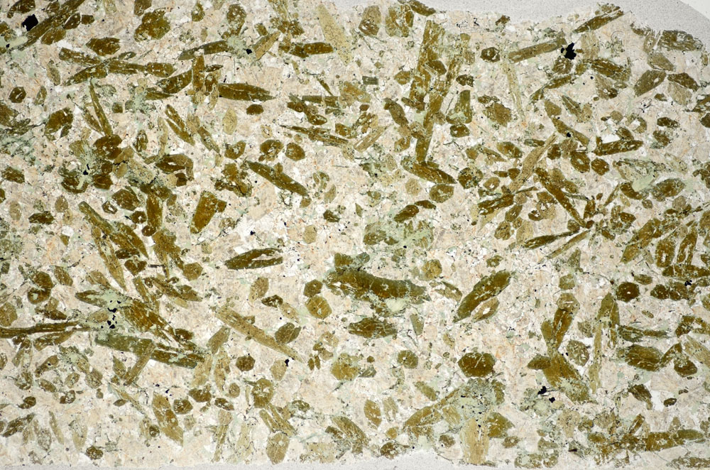 Plane Polarized, S81746