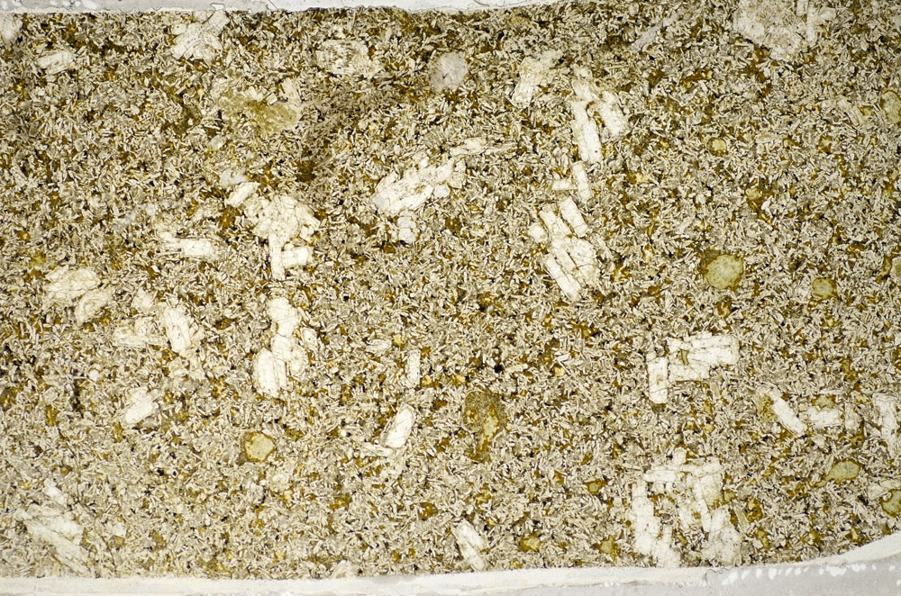 Plane Polarized, S81770