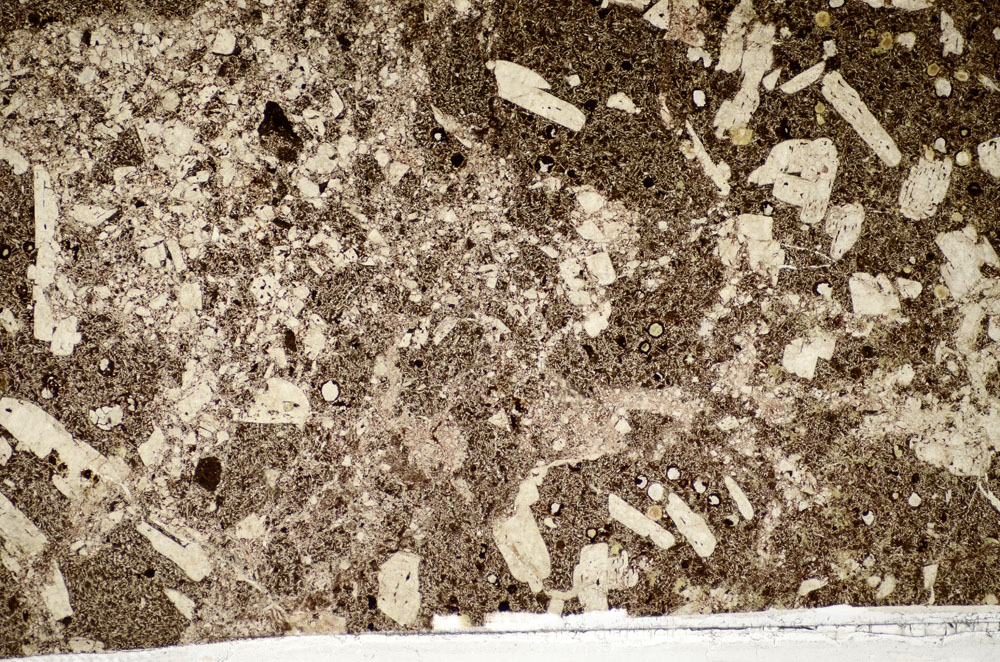 Plane Polarized, S81771