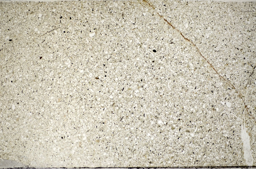 Plane Polarized, S81776