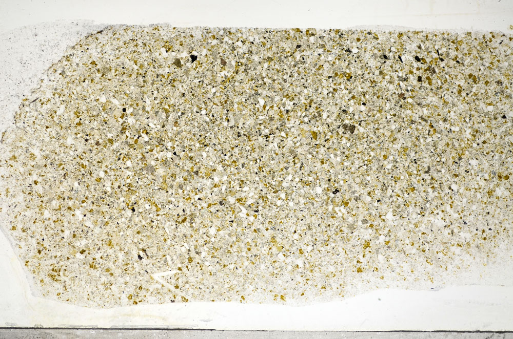 Plane Polarized, S81779/A