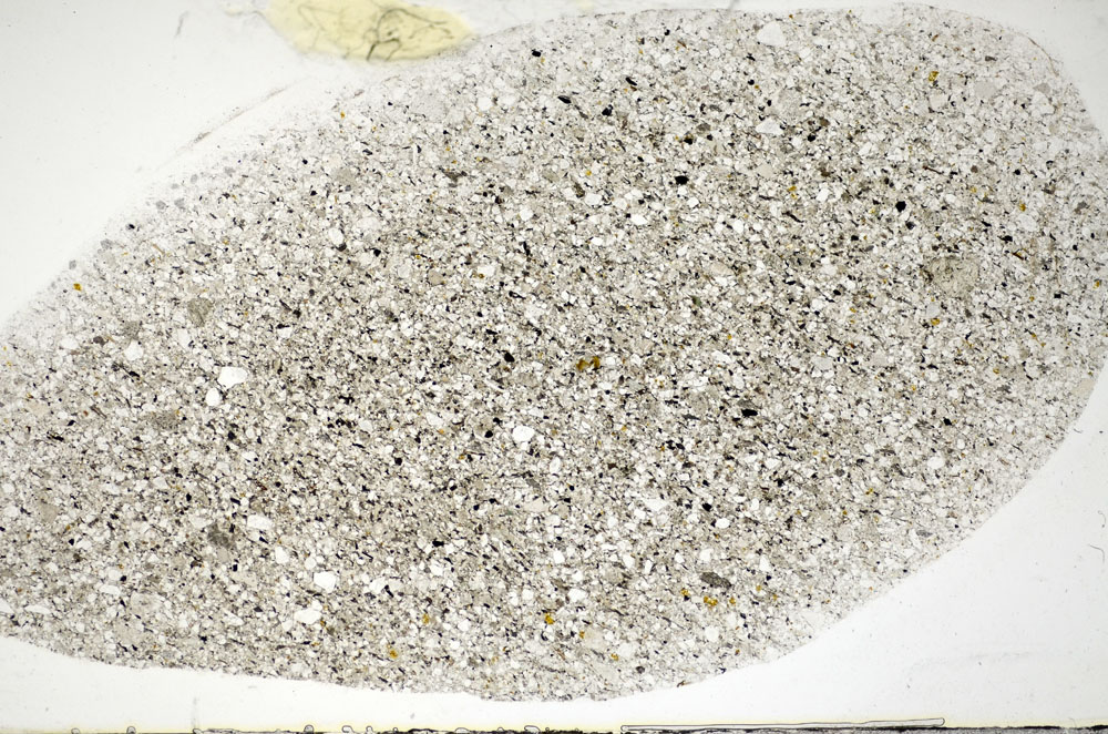 Plane Polarized, S81781/A