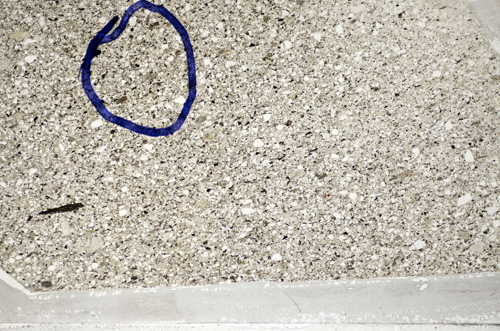 Plane Polarized, S81781/B