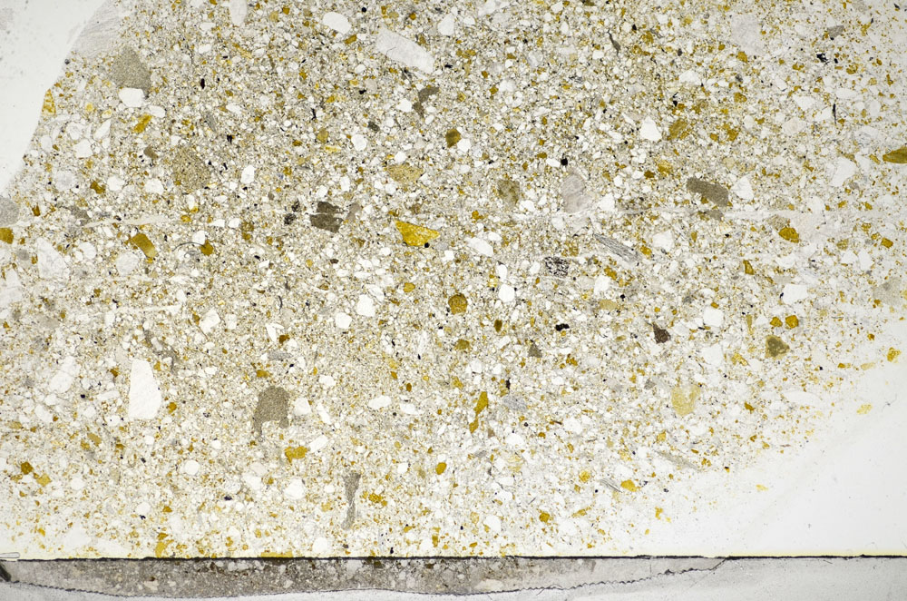 Plane Polarized, S81782/A