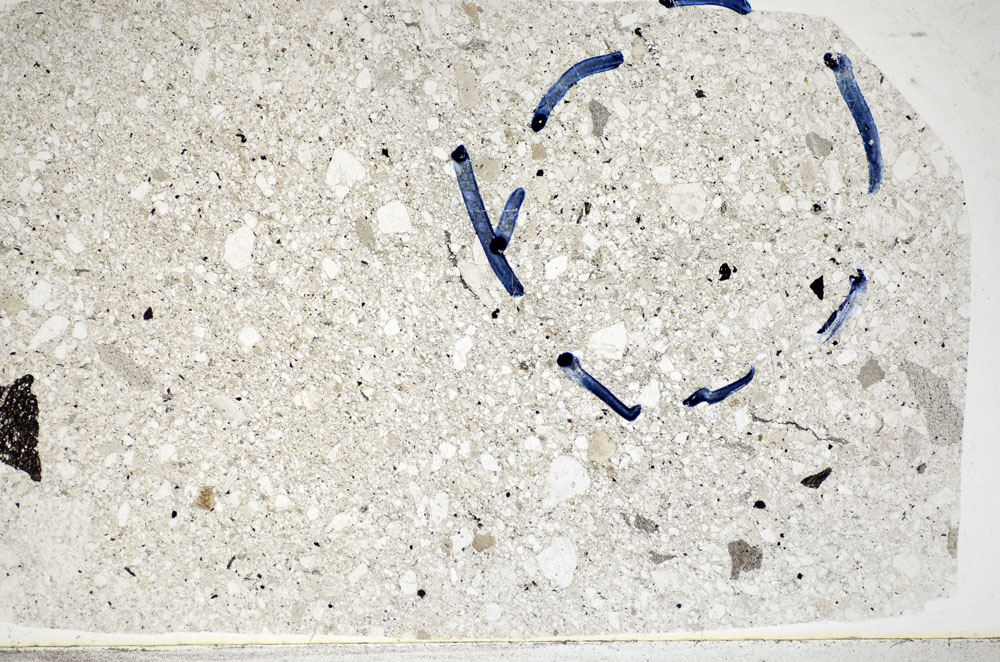 Plane Polarized, S81782/B