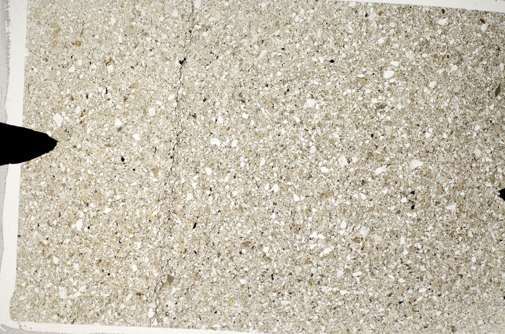 Plane Polarized, S81787