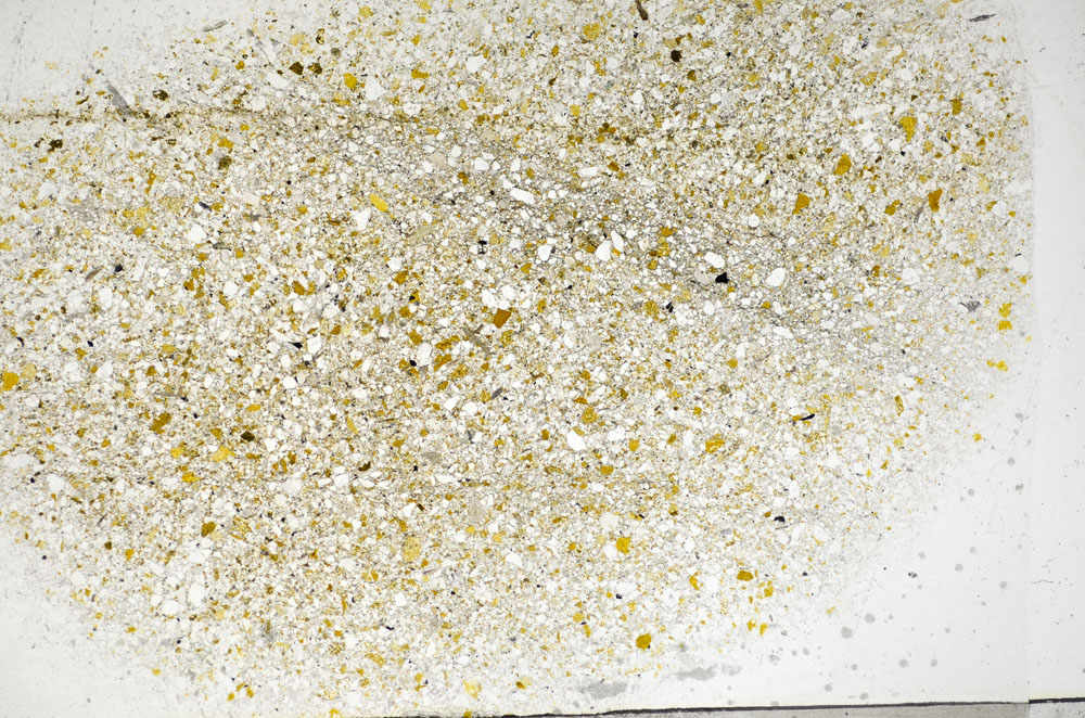 Plane Polarized, S81787/B