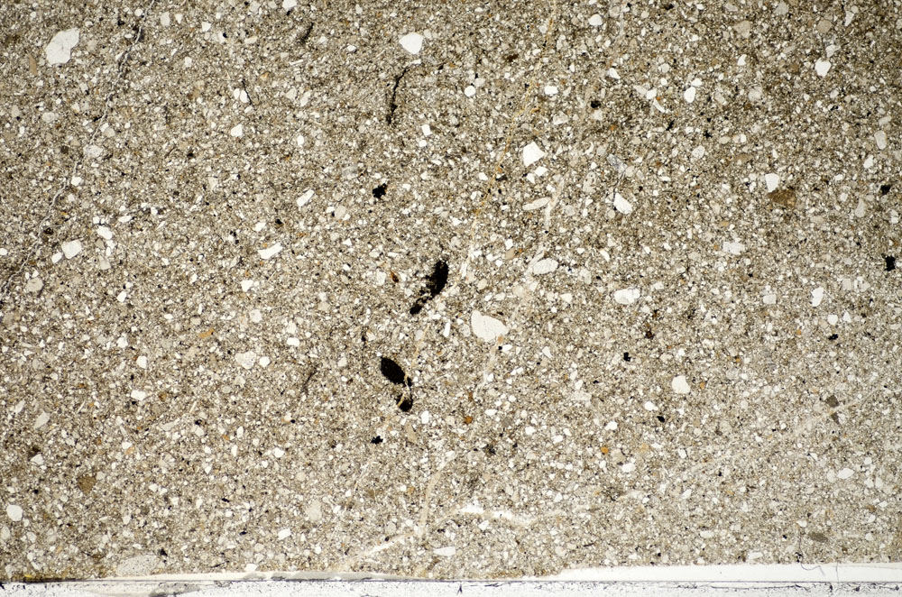 Plane Polarized, S81790