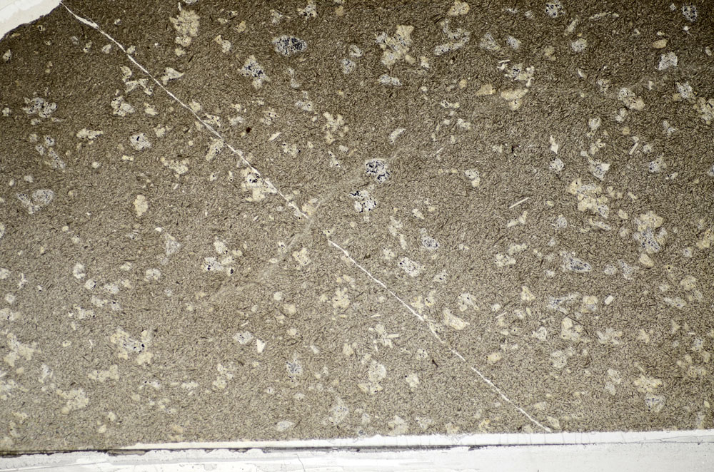 Plane Polarized, S81797