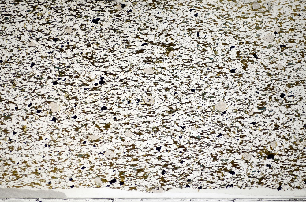 Plane Polarized, S81843