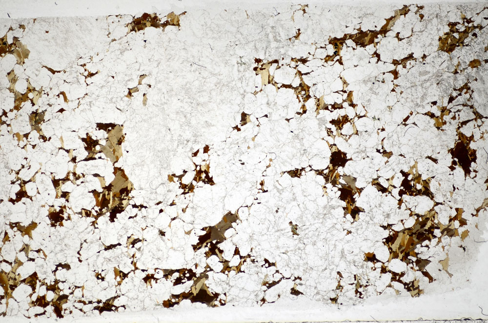 Plane Polarized, S81989